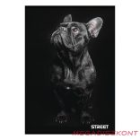 Füzet sima STREET A/4 54 lapos Friends