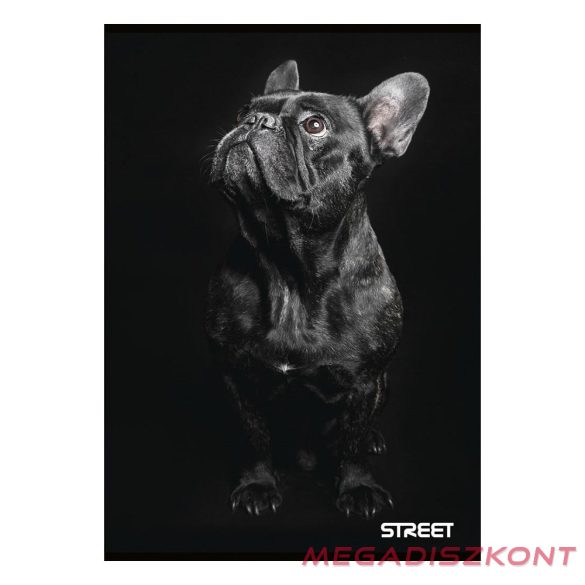 Füzet sima STREET A/4 54 lapos Friends