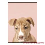 Füzet sima STREET A/4 54 lapos Friends