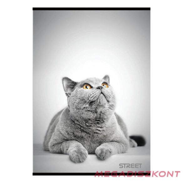 Füzet sima STREET A/4 54 lapos Friends