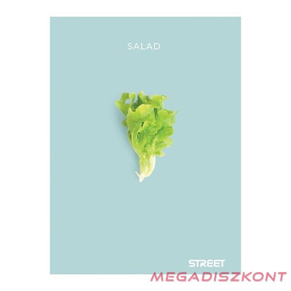 Füzet sima STREET A/4 54 lapos Fresh