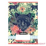 Füzet kockás NEBULO A/5 32 lapos 27-32 Cuki 16 darabos