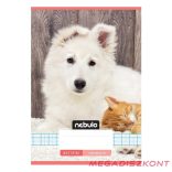 Füzet kockás NEBULO A/5 32 lapos 27-32 Cuki 16 darabos