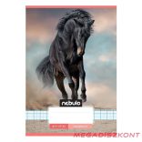 Füzet kockás NEBULO A/5 32 lapos 27-32 Cuki 16 darabos