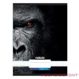 Füzet kockás NEBULO A/4 32 lapos 87-32 Xtreme 12 darabos