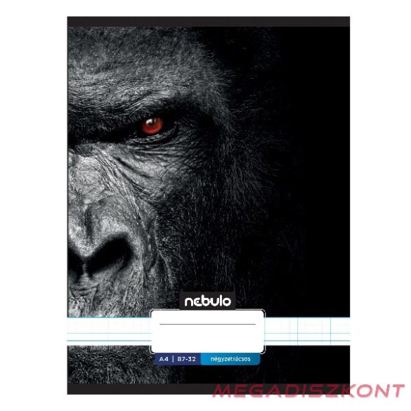 Füzet kockás NEBULO A/4 32 lapos 87-32 Xtreme 12 darabos