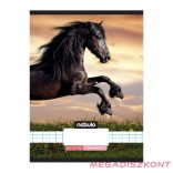 Füzet kockás NEBULO A/4 32 lapos 87-32 L-Design 12 darabos