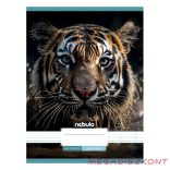 Füzet kockás NEBULO A/4 32 lapos 87-32 Állatok 12 darabos