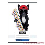 Füzet sima NEBULO A/5 32 lapos 20-32 Vagány 16 darabos