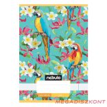 Füzet sima NEBULO A/5 32 lapos 20-32 Cuki 16 darabos