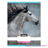 Füzet sima NEBULO A/4 32 lapos 80-32 L-Design 12 db/csomag