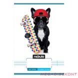 Füzet vonalas NEBULO A/5 32 lapos 21-32 4-8.osztályos Vagány I. 16 darabos