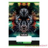 Füzet vonalas NEBULO A/5 32 lapos 21-32 4-8.osztályos Vagány II. 16 darabos