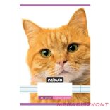 Füzet vonalas NEBULO A/5 32 lapos 21-32 4-8.osztályos Cuki I. 16 darabos