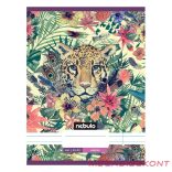 Füzet vonalas NEBULO A/4 32 lapos 81-32 L-Design 12 darabos