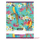 Füzet vonalas NEBULO A/4 32 lapos 81-32 L-Design 12 darabos