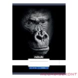 Füzet vonalas NEBULO A/4 32 lapos 81-32 Állatok 12 darabos