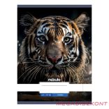 Füzet vonalas NEBULO A/4 32 lapos 81-32 Állatok 12 darabos