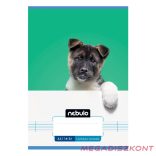 Füzet vonalas NEBULO A/5 32 lapos 14-32 1.osztályos Vagány 16 darabos