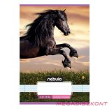 Füzet vonalas NEBULO A/5 32 lapos 14-32 1.osztályos Cuki 16 darabos