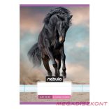 Füzet vonalas NEBULO A/5 32 lapos 16-32 2.osztályos Cuki 16 darabos