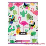 Füzet vonalas NEBULO A/5 32 lapos 16-32 2.osztályos Cuki 16 darabos