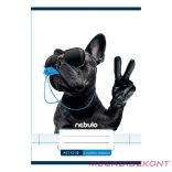 Füzet vonalas NEBULO A/5 32 lapos 12-32 3.osztályos Vagány 16 darabos