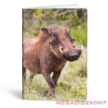 Füzet vonalas LIPAMILL A/4 40 lapos King of lions