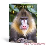 Füzet vonalas LIPAMILL A/4 40 lapos King of lions