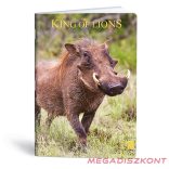 Füzet kockás LIPAMILL A/4 40 lapos King of lions