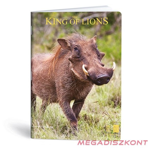 Füzet kockás LIPAMILL A/4 40 lapos King of lions