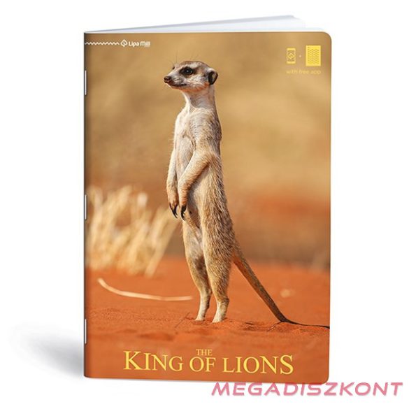 Füzet kockás LIPAMILL A/4 40 lapos King of lions