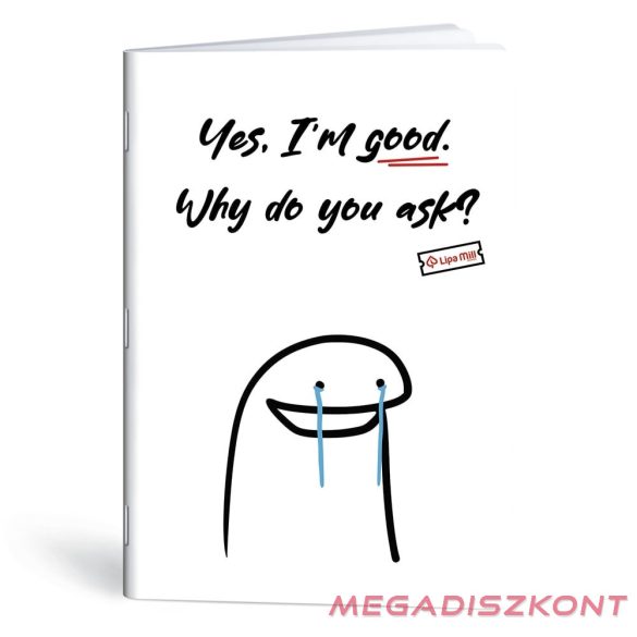 Füzet kockás LIPAMILL A/4 40 lapos Meme