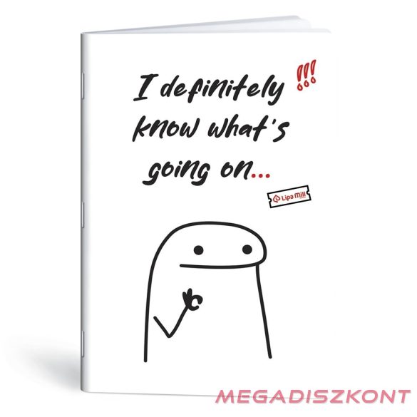 Füzet kockás LIPAMILL A/4 40 lapos Meme