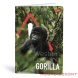 Füzet vonalas LIPAMILL A/4 40 lapos One colour