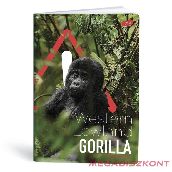 Füzet vonalas LIPAMILL A/4 40 lapos One colour