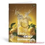 Füzet kockás LIPAMILL A/4 40 lapos One colour