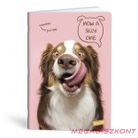 Füzet vonalas LIPAMILL A/4 40 lapos Pets