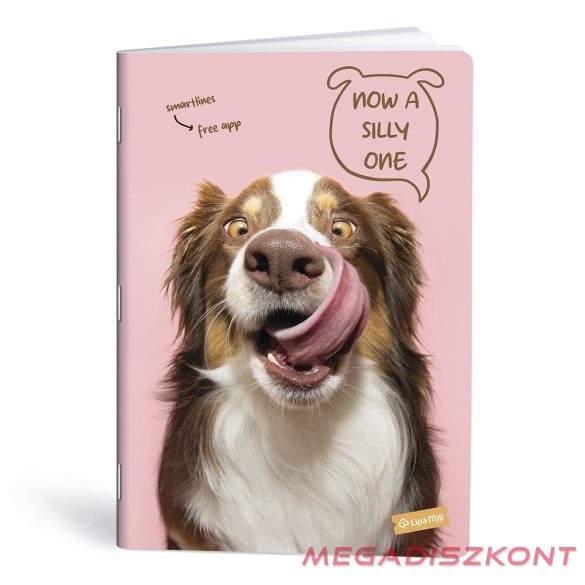 Füzet vonalas LIPAMILL A/4 40 lapos Pets