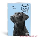 Füzet vonalas LIPAMILL A/4 40 lapos Pets