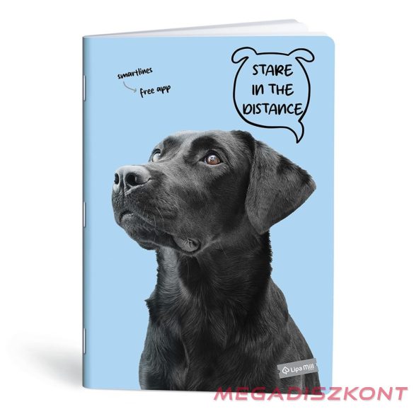 Füzet vonalas LIPAMILL A/4 40 lapos Pets