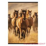 Füzet kockás STREET A/4 54 lapos Horses