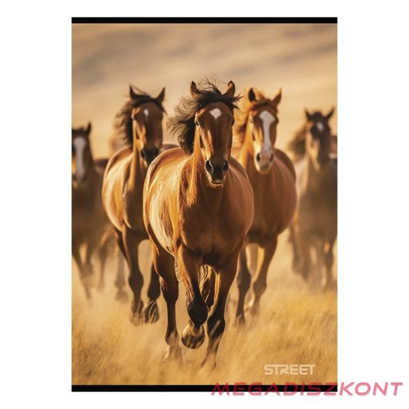 Füzet kockás STREET A/4 54 lapos Horses