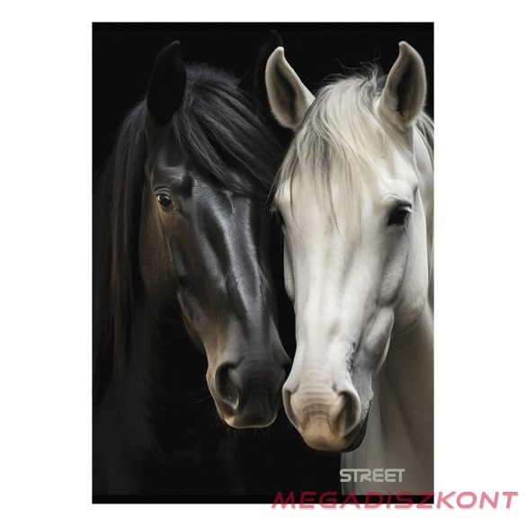 Füzet kockás STREET A/4 54 lapos Horses