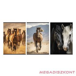 Füzet sima STREET A/4 54 lapos Horses