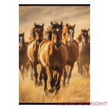 Füzet sima STREET A/4 54 lapos Horses
