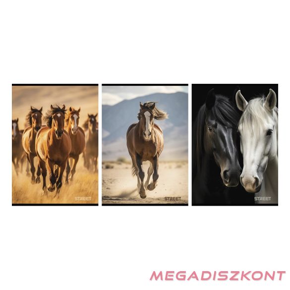 Füzet vonalas STREET A/4 54 lapos Horses margóval