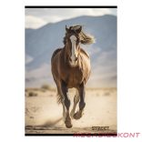 Füzet vonalas STREET A/4 54 lapos Horses margóval