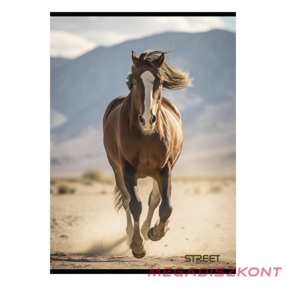 Füzet vonalas STREET A/4 54 lapos Horses margóval
