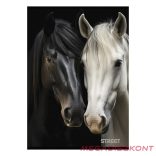 Füzet vonalas STREET A/4 54 lapos Horses margóval